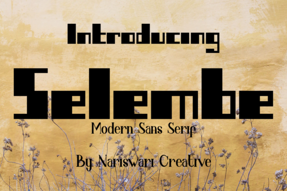 Selembe Typeface: Clarity and Boldness in Every Campaign